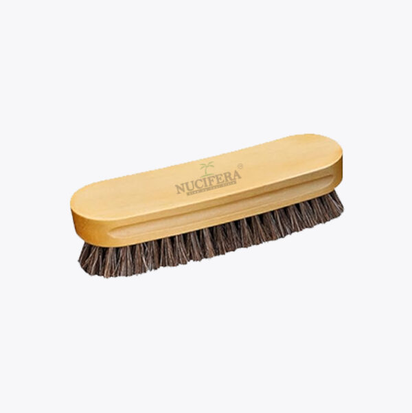 Shoe Brush